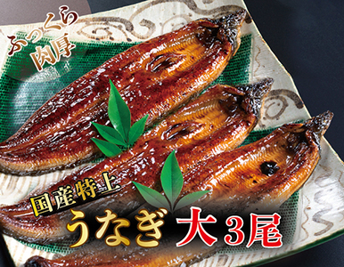 YIイȂ̂ΏĂ 200g × 3