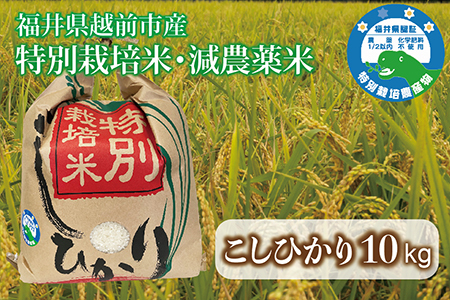 [令和6年度産・新米] 福井県越前市産コシヒカリ 福井県特別栽培米 10kg