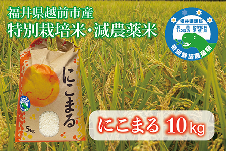 [令和6年産・新米] 福井県越前市産にこまる 福井県特別栽培米 10kg