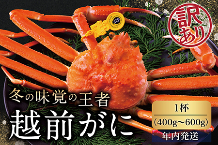 [年内発送]越前がに(オス)「ずわいがに」(400g〜600g) 訳あり 1杯