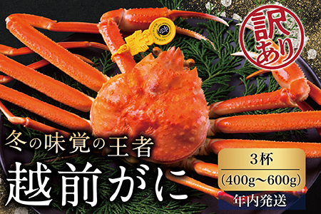 [年内発送]越前がに(オス)「ずわいがに」(400g〜600g)訳あり 3杯