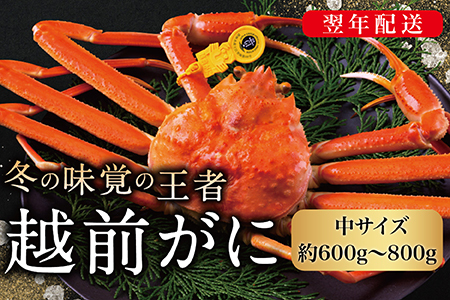 y2026NzzOɁiIXju킢ɁvTCYi600g`800gj 1t