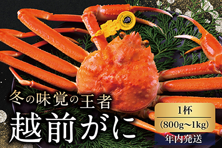 yNzzOɁiIXju킢ɁvTCYi800g-1kgj 1t