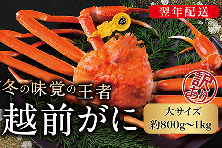 y2026NzzOɁiIXju킢ɁvTCYi800g-1kgj 󂠂 1t