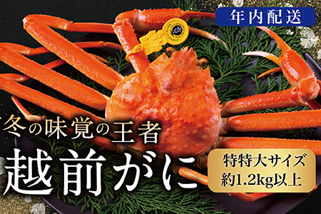 �y2026�N�����z�z�O���Ɂi�I�X�j�u���킢���Ɂv������T�C�Y�i1.2kg�ȏ�j  1�t