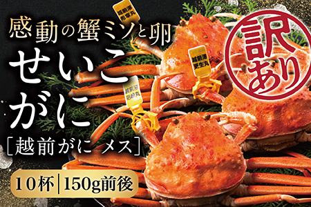 [冷蔵発送]越前がに(メス)「せいこがに」訳あり 150g前後 × 10杯