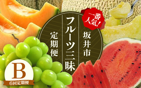 【先行予約】【定期便 6回コース】 坂井市フルーツ三昧！！旬のフルーツ定期便B【2025年6月上旬以降順次発送開始予定】【フルーツ 新鮮フルーツ 旬のフルーツ 夏フルーツ 秋フルーツ 定期便 くだもの 果物】 [J-3216]