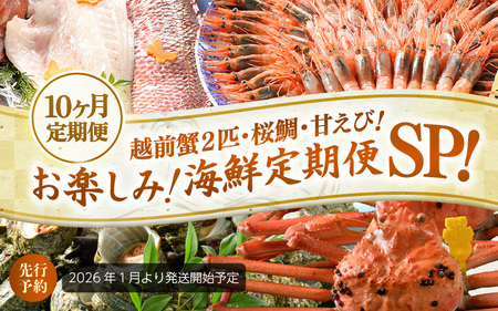 [先行予約][1月から10ヶ月お届け]≪茹で≫越前蟹2匹・桜鯛・甘えび!お楽しみ!海鮮定期便SP![2026年1月より発送開始予定][Q-1602]