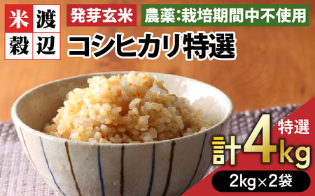 発芽玄米 無農薬コシヒカリ「特選」特別栽培米使用 2kg×2袋（計4kg）【米 こしひかり 玄米 ギャバ GABA 無農薬 特別栽培 食物繊維 栄養 真空パック ごはん ご飯 おいしい ふるさと納税米】 [A-2942]