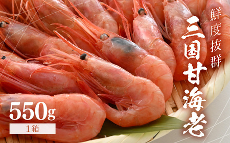 鮮度抜群!三国甘海老 550g [甘海老 あまえび アマエビ えび 海老 有頭 刺身 生食 海鮮 海産物 魚貝類 魚介類 新鮮 冷凍 三国] [A-18701]