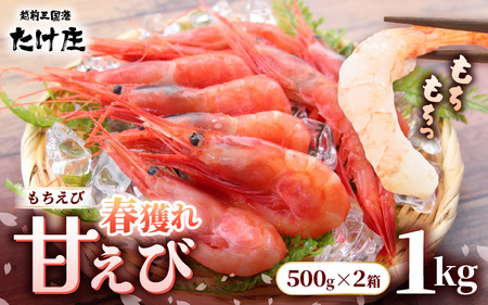 [先行予約]甘えび(もちえび)1kg(500g × 2袋) [2025年4月より順次発送予定] [甘海老 あまえび アマエビ 海老 有頭 刺身 生食 海鮮 海産物 魚貝類 魚介類 新鮮 冷凍 食品 おかず 三国] [A-1614_04]