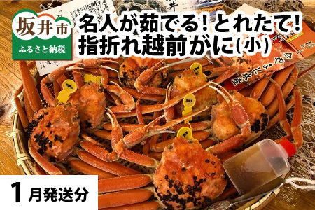 [先行予約]名人が茹でる 指折れ訳あり越前がに(小) 6杯 やまに仕込み[1月発送分] [F-4352_01]