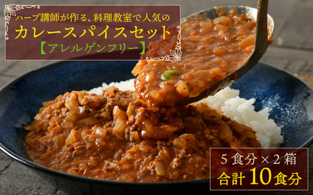 [アレルゲンフリー]ハーブ講師が作る 教室で人気のカレースパイスセット (5食分 × 2箱) [A-13004]