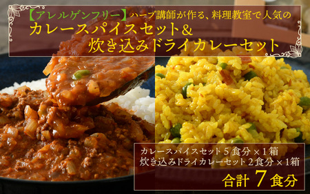 [アレルゲンフリー]ハーブ講師が作る 教室で人気のカレースパイスセット (5食分 × 1箱) & 炊込みドライカレー (2食分 × 1箱) [A-13005]