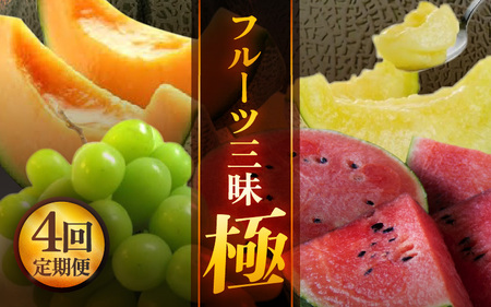 [先行予約][定期便 4回コース] 坂井市フルーツ三昧!!「極」 [100セット限定] [2025年6月上旬以降順次発送開始予定][フルーツ 新鮮フルーツ 旬のフルーツ 夏フルーツ 秋フルーツ 定期便 くだもの 果物] [H-3201]