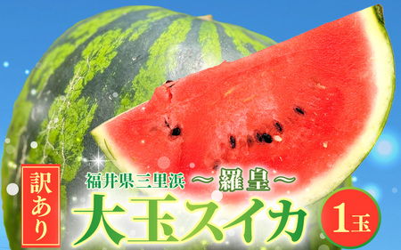 先行予約[訳アリ]大玉スイカ 1玉 〜羅皇〜 2026年7月中旬以降順次発送予定 スイカ [A-16514]