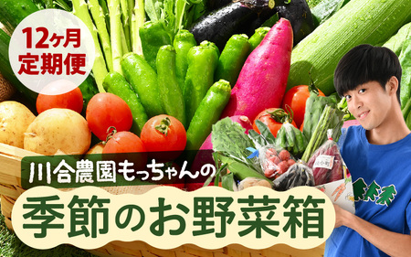 定期便 ≪12ヶ月連続お届け≫ 川合農園もっちゃん季節のお野菜お届け箱 〜季節の野菜や果実を毎月7品種前後お届けします!〜 [野菜 やさい 野菜セット 詰め合わせ おまかせ 新鮮 旬 定期便 12回 産地直送] [K-7501]