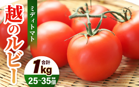[先行予約] 越のルビー (ミディトマト) 約1kg (25〜35個程度) 糖度8度 三里浜砂丘地産 甘くておいしい中玉トマト [2026年6月上旬以降順次発送予定] [トマト とまと 中玉とまと リコピン ブランド 豊富 野菜 生野菜 甘い 高糖度 産地直送 国産] [A-19204]
