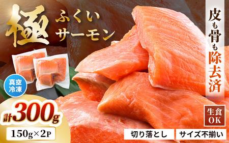 [先行予約] [訳あり] ふくいサーモン切り落とし (生食用) 150g × 2パック 合計300g 皮剝ぎ・骨抜き加工済 サイズ不揃い 真空冷凍 [2025年8月上旬以降順次発送] [サーモン 鮭 しゃけ 切り落とし 生食可 焼き サラダ 鮮度 水産加工品 海産 魚介類 冷凍] [A-6234]