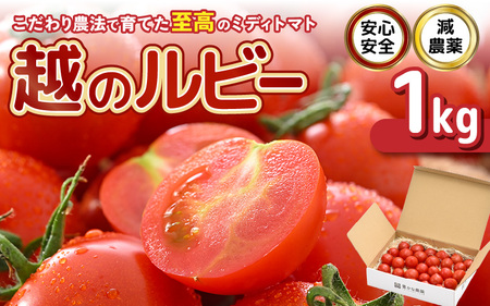 [先行予約] 安心安全!減農薬!こだわり農法で育てた至高のミディトマト [越のルビー] 1kg (約25玉〜40玉) [2025年10月上旬以降順次発送予定] [とまと ミディトマト 中玉トマト 野菜 やさい 新鮮 生食 サラダ 健康 産地直送 国産] [A-21201]
