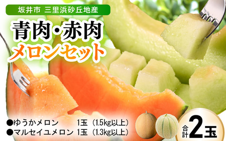 [先行予約] 三里浜砂丘地で作られた「ゆうかメロン」1玉:1.5kg以上 (青肉系メロン) と マルセイユ 1玉:1.3kg以上 (赤肉) セット [2026年6月上旬以降順次発送予定][ めろん フルーツ デザート 果物 くだもの 果実 赤肉 青肉 糖度 甘い ジューシー お取り寄せ グルメ 産地直送 ] [A-19206]