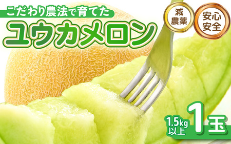 [先行予約] 安心安全!減農薬!こだわり農法で育てた ユウカメロン 1玉 1.5kg以上 [2026年6月中旬以降順次発送予定] [メロン めろん フルーツ デザート 果物 くだもの 果実 糖度 甘い 産地直送 国産] [A-21206]
