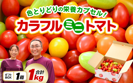 Jt~jg}g5FA\[g (ԁAIWACG[AO[A`R) 1kgMtg FƂǂ̉h{JvZIyƂ܂ g}g ~jg}g   e N VN Yn