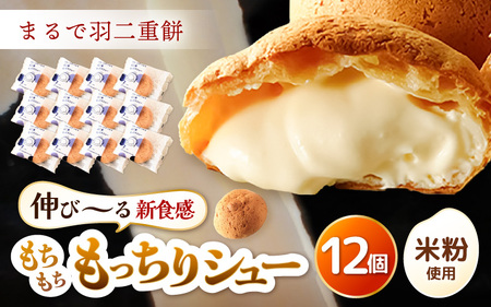 y2025N12菇zHdV[ 12 V[N[ XC[c [A-08185_12]