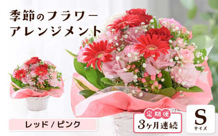 定期便 ≪3ヶ月連続お届け≫ 選べるカラー 季節のフラワーアレンジメント S (レッド・ピンク) [お花 フラワー アレジメント 花束 ギフト 生花 プレゼント 花束 花 記念日 敬老の日 お祝い] [B-20702_01]