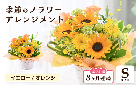 定期便 ≪3ヶ月連続お届け≫ 選べるカラー 季節のフラワーアレンジメント S ( イエロー・オレンジ) [お花 フラワー アレジメント 花束 ギフト 生花 プレゼント 花束 花 記念日 敬老の日 お祝い] [B-20702_02]
