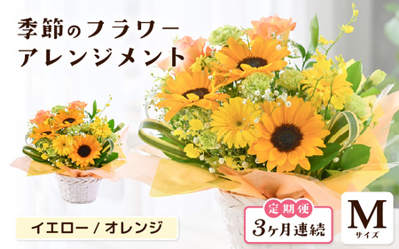定期便 ≪3ヶ月連続お届け≫ 選べるカラー 季節のフラワーアレンジメント M (イエロー・オレンジ) [お花 フラワー アレジメント 花束 ギフト 生花 プレゼント 花束 花 記念日 敬老の日 お祝い] [C-20701_02]