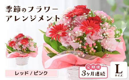 定期便 ≪3ヶ月連続お届け≫ 選べるカラー 季節のフラワーアレンジメント L (レッド・ピンク) [お花 フラワー アレジメント 花束 ギフト 生花 プレゼント 花束 花 記念日 敬老の日 お祝い] [E-20701_01]