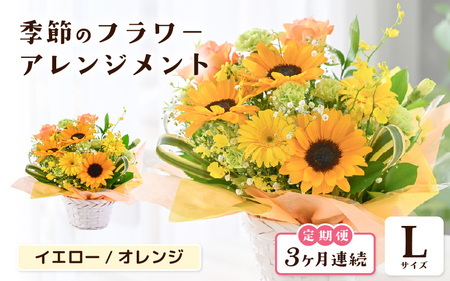 定期便 ≪3ヶ月連続お届け≫ 選べるカラー 季節のフラワーアレンジメント L (イエロー・オレンジ) [お花 フラワー アレジメント 花束 ギフト 生花 プレゼント 花束 花 記念日 敬老の日 お祝い] [E-20701_02]