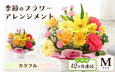 定期便 ≪12ヶ月連続お届け≫ 選べるカラー 季節のフラワーアレンジメント M (カラフル) 【お花 フラワー アレジメント 花束 ギフト 生花 プレゼント 花束 花 記念日 敬老の日 お祝い】 [L-20701_03]