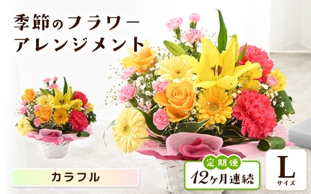 定期便 ≪12ヶ月連続お届け≫ 選べるカラー 季節のフラワーアレンジメント L (カラフル) 【お花 フラワー アレジメント 花束 ギフト 生花 プレゼント 花束 花 記念日 敬老の日 お祝い】 [O-20701_03]