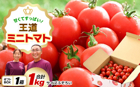 ÂĎ_ς~jg}gՂ1kgyƂ܂ g}g ~jg}g   e N VN Yn  Mtg Yz [A-2612]