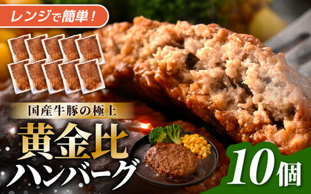 デミグラスハンバーグ 10個入り 簡単調理 ハンバーグ 年内発送 [A-0587]