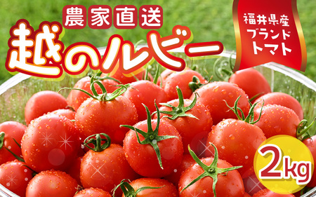 z̃r[ _ƒ t[cg}g2kg 䌧Yuhg}gyƂ܂ g}g ~fBg}g   e N VN Yn  Mtg Yz [A-21801]