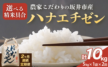 [令和7年産]定期便 ≪2ヶ月連続お届け≫ 坂井市産 ハナエチゼン 5kg × 2回 (計10kg) [白米] 米 コメ お米 華越前 [C-10204_01]