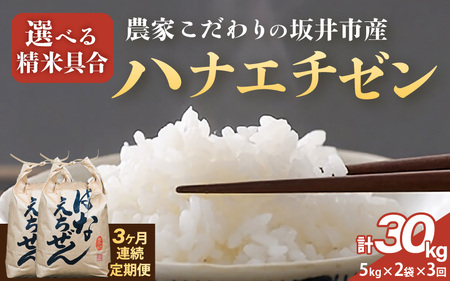 定期便 ≪3ヶ月連続お届け≫ [令和7年産]坂井市産 ハナエチゼン 10kg (5kg×2袋) × 3回 (計30kg) [玄米] 米 コメ お米 華越前 [J-10201_02]