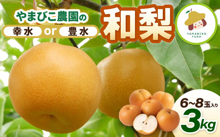 先行予約 幸水梨 3kg (3L〜5Lサイズ) 6~8玉入り[2026年8月中旬〜9月上旬発送] 梨 和梨 なし [A-21901_01]