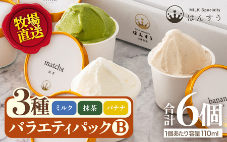 [先行予約]はんすうカップアイス バラエティパック B[2025年12月上旬より順次発送予定][アイス ジェラート ひんやりスイーツ スイーツ デザート お菓子 洋菓子 詰め合わせ 食べ比べ ご褒美アイス 贈答 お歳暮] [A-21508]