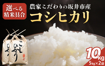 sY RVqJ 10kg (5kg×2) yāz  R  䂱Ђ [C-10203_02]