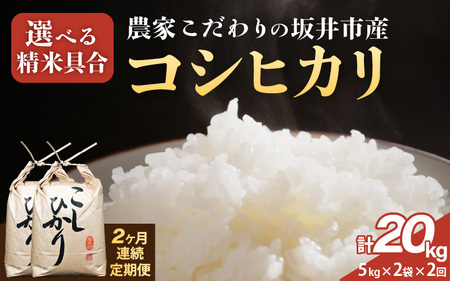 定期便 ≪2ヶ月連続お届け≫ 坂井市産 コシヒカリ 10kg (5kg×2袋) ×2回 (計20kg) [玄米] 米 コメ お米 福井こしひかり [G-10203_02]