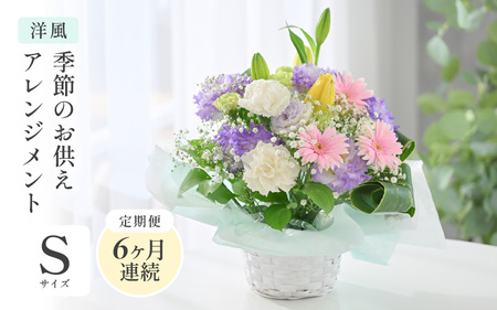 定期便 ≪6ヶ月連続お届け≫ 季節のお供えフラワーアレンジメント S【洋風】【お供え お花 フラワー アレジメント 花束 ギフト 生花 プレゼント 花束 花 お彼岸 法事】 [D-20702_01]