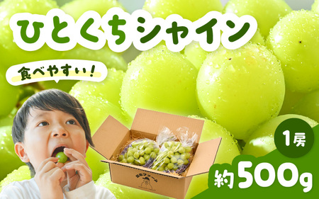 �y��s�\��z �V���C���}�X�J�b�g �ЂƂ����V���C�� ��500g 1�[ �y2026�N8�����{�ȍ~���������\��z�}�X�J�b�g �Ԃǂ� [A-21701]