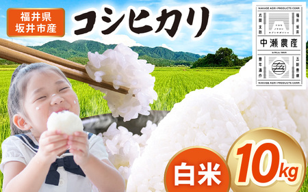 ��s�\�� �y�ߘa8�N�Y�E�V�āz ���s�Y �R�V�q�J�� ���� 10kg (5kg×2��) (�����_�Y) 2026�N10���ȍ~���������\�� ���� ������ [A-20508]