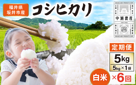 �y��s�\��z�y�ߘa8�N�Y�E�V�āz ����� ��6�����A�����͂��� ���s�Y �R�V�q�J�� ���� 5kg×6�� �v30kg (�����_�Y) �y2026�N10���ȍ~���������\��z �y�� ���� ���� ���� �u�����h�� �����Ђ�