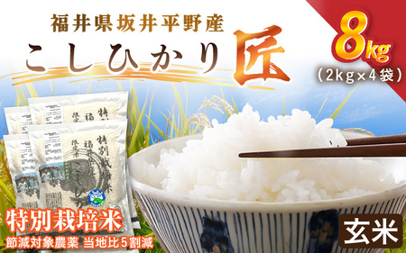 �ߘa7�N�Y ���ʍ͔|�� �R�V�q�J���� 8kg�i2kg×4�܁j �ߌ��Ώ۔_�򓖒n��5�����y���āz���� �R�V�q�J�� [C-2930_02]