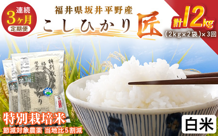 y3A͂z ʍ͔| RVqJ 4kgi2kg×2܁j×3 v12kg ߌΏ۔_򓖒n5yāz RVqJ [E-2921_01]